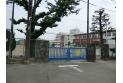 【中学校】緑中学校　約180m