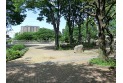 【公園】矢川上公園　約750m