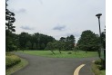 【公園】野川公園　約480m