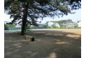 【公園】中島町公園　約50m