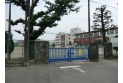 【中学校】緑中学校　約500m