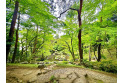 【レジャー・観光】殿ヶ谷戸庭園　約1,100m