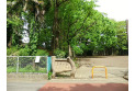 【公園】三楽公園　約200m