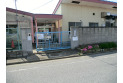 【幼稚園・保育園】向原保育園　約200m