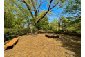 【公園】小平中央公園　約100m