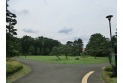 【公園】野川公園　約600m