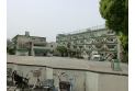 【小学校】緑小学校　約80m