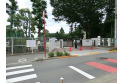 【小学校】本宿小学校　約800m