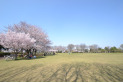 【公園】東村山中央公園　約650m