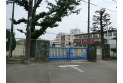 【中学校】緑中学校　約530m