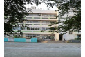 【小学校】第七小学校　約800m