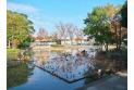 【公園】府中郷土の森公園　約200m