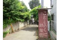 【幼稚園・保育園】こどものくに幼稚園　約180m