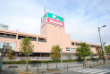 【ホームセンター】島忠ホームズ　約230m