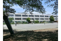 【小学校】第五小学校　約300m