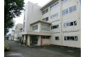 【小学校】第九小学校　約430m