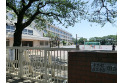 【小学校】第七小学校　約590m