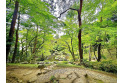 【レジャー・観光】殿ヶ谷戸庭園　約30m
