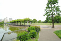 【公園】武蔵国分寺公園　約350m