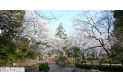 【公園】与野公園　約800m