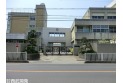 【小学校】戸塚東小学校　約280m