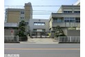 【小学校】戸塚東小学校　約650m