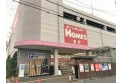 【ホームセンター】島忠 ホームズ川口店　約600m