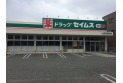 【ドラッグストア】ドラッグセイムス大宮吉野町店　約320m