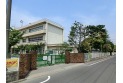 【小学校】東小学校　約800m