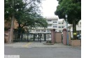 【小学校】木崎小学校　約250m