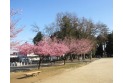 【公園】小泉氷川山公園　約600m