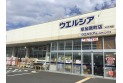 【ドラッグストア】ウエルシア草加原町店　約650m