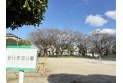 【公園】安行天沼公園　約650m