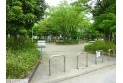 【公園】安行原第４公園　約350m