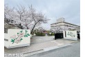 【小学校】さいたま市立善前小学校　約550m