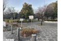 【公園】三ツ和公園　約1,000m