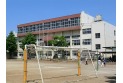 【小学校】川口市立神根小学校　約700m