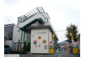 【幼稚園・保育園】椎の実保育園　約260m