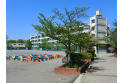 【小学校】柳崎小学校　約290m