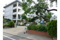 【小学校】栄和小学校　約800m