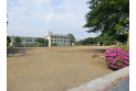 【小学校】針ヶ谷小学校　約210m