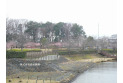 【公園】井沼方公園　約1,300m