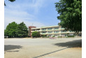 【小学校】鳩ヶ谷小学校　約999m