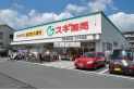【ドラッグストア】スギ薬局　浦和元町店　約800m
