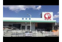 【ホームセンター】コメリ　安行領根岸店　約550m