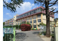 【小学校】根岸小学校　約440m