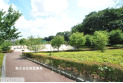 【公園】戸塚下台公園　約500m