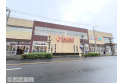 【スーパー】ヤオコー浦和上木崎店　約700m