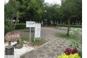 【公園】三ツ和公園　約560m