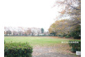 【公園】明花公園　約700m